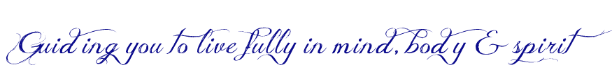 NCpurposetag